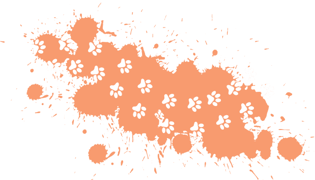 Vancouver pet boarding paw hero